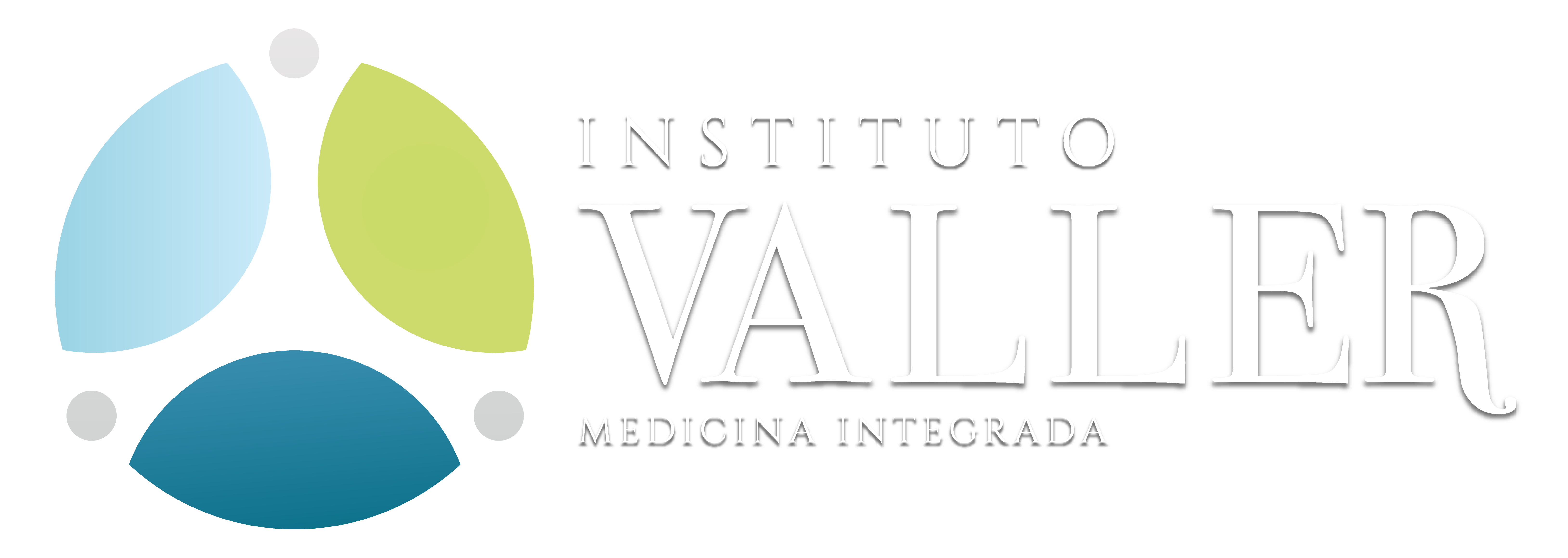 Logo do Instituto Valler